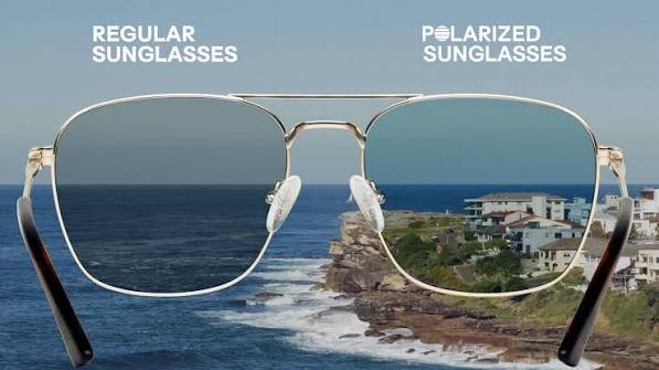 Polarized Sunglasses